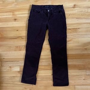 Purple Corduroy Calvin Klein Pants